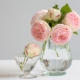 What to do to keep the roses in the vase for a long time?