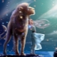 What to give a woman born under the sign of Leo?