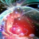 Characteristics and compatibility with other signs of the Cancer woman born in the year of the Monkey
