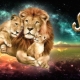 Characteristics of a Leo man born in the year of the Ox