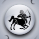 Characteristics of the Sagittarius man, born in the year of the Pig