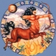 Characteristics of the Sagittarius man born in the Year of the Rat
