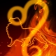 What zodiac sign suits Leo?
