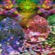 Stone for Sagittarius: an overview of options and selection criteria