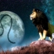 Leo man in love and relationships