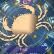 Cancer man, born in the year of the Rat: characteristics and compatibility in relationships