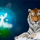 Libra-Tiger man: characteristics and compatibility
