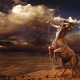 Sagittarius men: characteristics of qualities in marriage and love, choice of profession and talismans