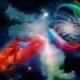 Cancer and Pisces: characteristics and compatibility of signs