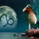 Capricorn compatibility with another representative of such a sign and the prospect of a family union