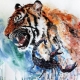 Scorpio woman born in the year of the Tiger: characteristics and compatibility