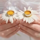 What do they give a wife, husband or friends for their 9th wedding anniversary?