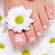 How can I soften my toenails to make cutting easier?