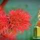 Castor oil for hair: application and effect