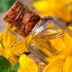 Celandine oil: properties, preparation and application