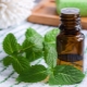 Menthol oil: properties and application features