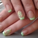 Delicate green manicure: design features and fashion ideas