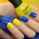 Blue and yellow manicure options