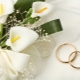 Cashmere Wedding Features and Celebration Tips