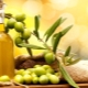 Benefits, harms and tips for using jojoba oil for face