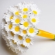 Wedding bridal bouquet of daisies: drawing ideas and design subtleties