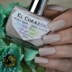 Bio gel varnishes: coating features and differences