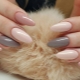 Nail decor with the shape of a sharp almond and the technique of their creation