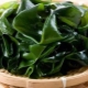 Kelp wrapping: benefits, harms and rules of conduct