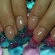 Features of aquarium nail extension