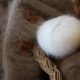 Features and applications of angora wool