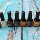 The palette and features of Ingarden gel varnishes