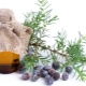 Juniper oil properties and its use in cosmetology