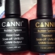 Base and top: what is it and what is first applied before a manicure?