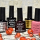 Shellac color palette for manicure