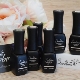 Serebro gel polish: color palette and application features