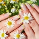 Comment dessiner des fleurs sur les ongles: nous démontons étape par étape