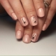 Manicure with ordinary varnish: from choosing a design to creating