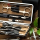 Zinger manicure sets: types, characteristics and application