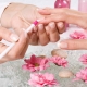 Manicure sticks: types, tips for choosing and using