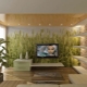 Feng Shui for an apartment or house: rules for planning and interior design