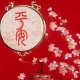 Feng Shui talismans and amulets: appointment, tips for choosing