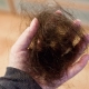 Hair falls out in bunches: causes and solution to the problem
