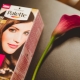 All about Palette hair dyes