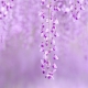 What does lilac mean in psychology?