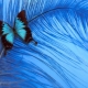 The color blue in psychology: what does it mean and symbolize?