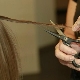 Hair cutting with bundles: features and technology of execution