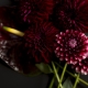 Burgundy color in psychology: what does it mean and symbolize?