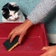 What is the best way to wash a cat litter box so that there is no smell?