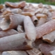 Devil's finger: features of the stone and its properties