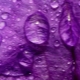 What does purple mean in psychology?